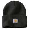'Carhartt' Acrylic Watch Knit Hat - Black
